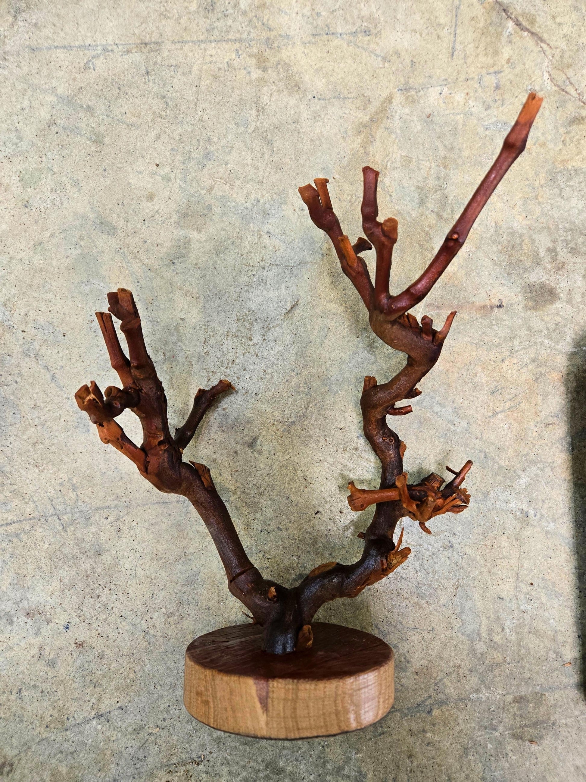 RARE Grape Vine Art From Opus 1 made from retired Napa Cabernet grapevine 100% Reclaimed + Ready to Ship! 111624-77