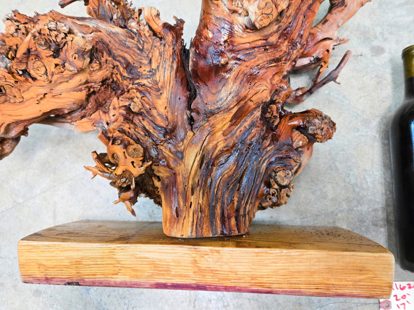 RARE Charles Krug Cabernet Grapevine Vine Art planted 1940 100% Recycled + Ready to Ship!! 111624-47