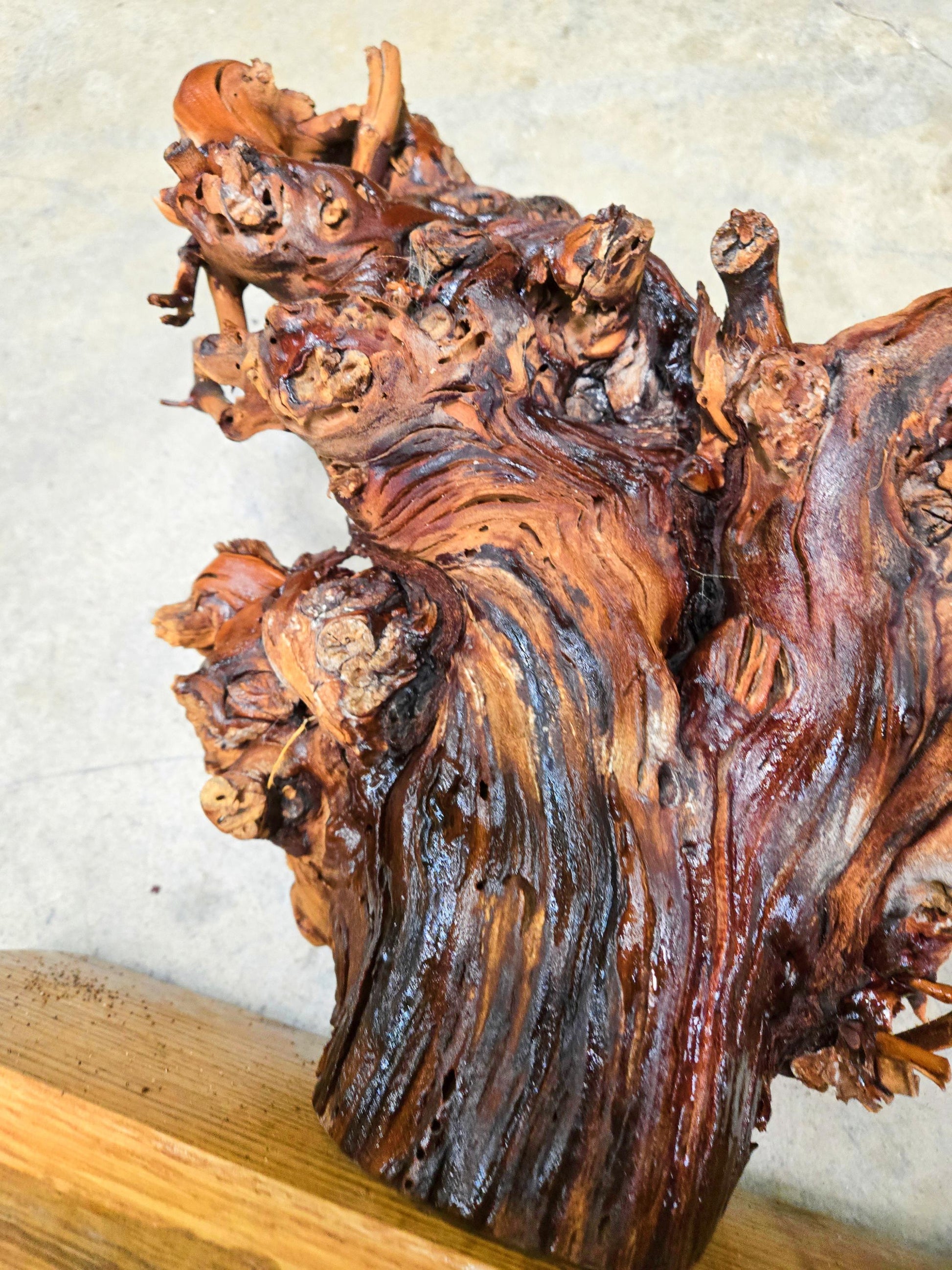 RARE Charles Krug Cabernet Grapevine Vine Art planted 1940 100% Recycled + Ready to Ship!! 111624-47