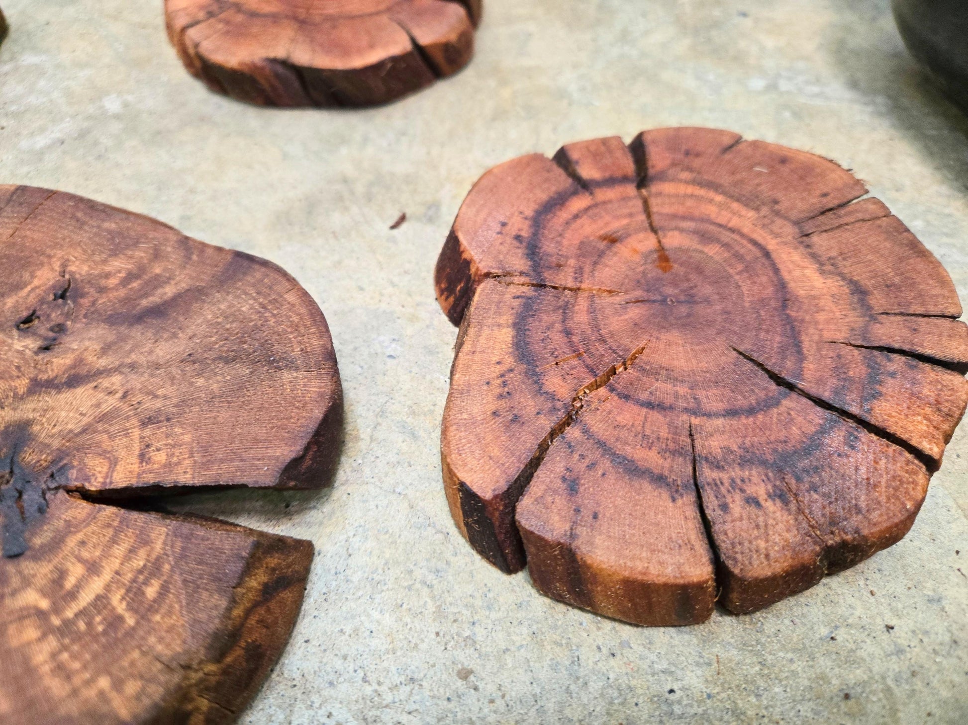 Silver Oak Grapevine Coasters Set of 4 + 1 XL for Bottle - Made From Retired Silver Oak Grapevine - 100% Recycled + Ready to Ship! 111624-54