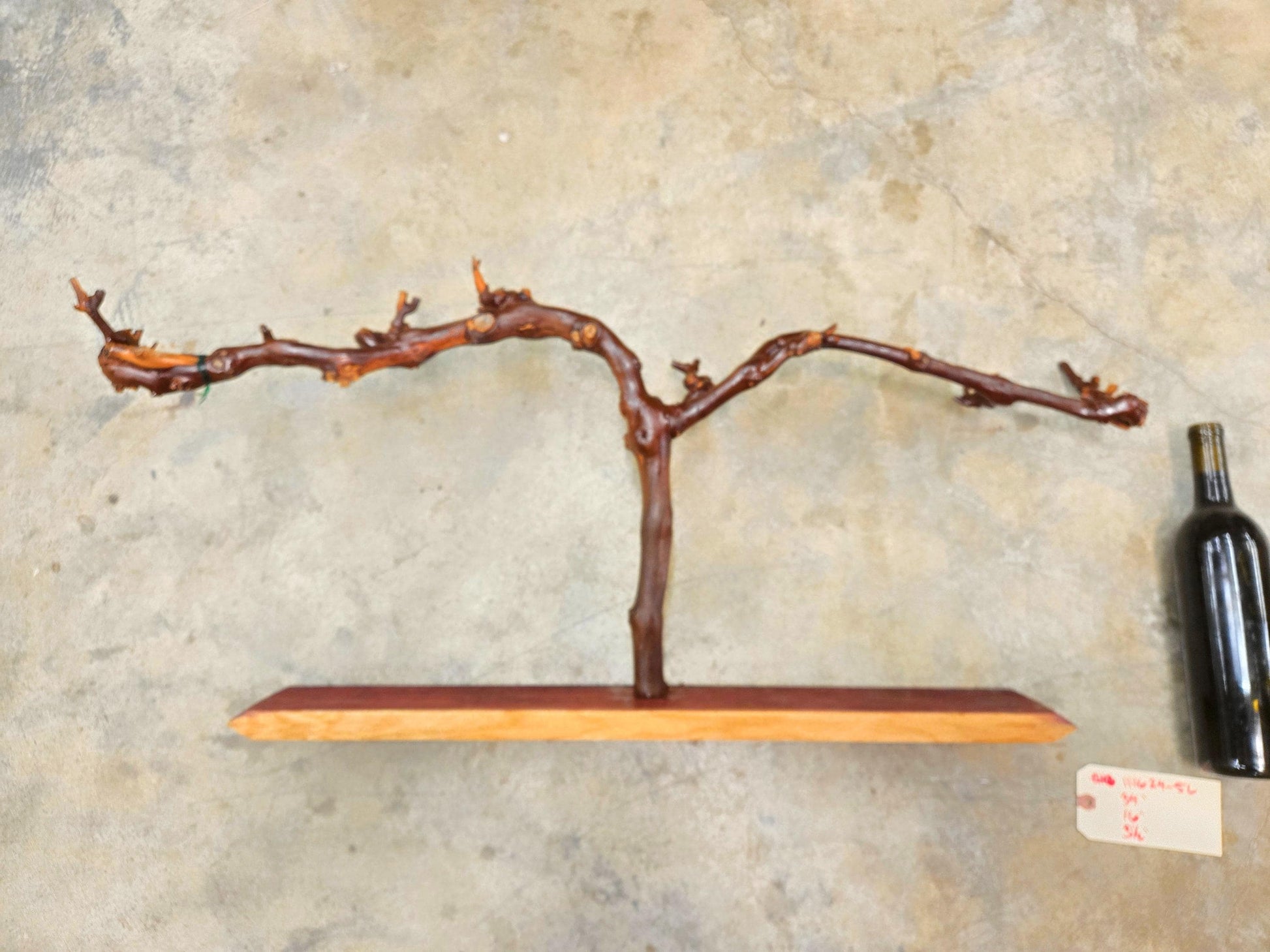 RARE Caymus Grapevine Art made from retired Sonoma Cabernet Grapevine 100% Reclaimed + Ready to Ship! 111624-56