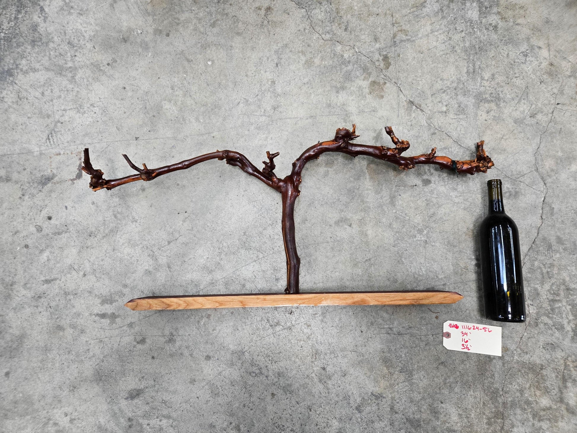 RARE Caymus Grapevine Art made from retired Sonoma Cabernet Grapevine 100% Reclaimed + Ready to Ship! 111624-56