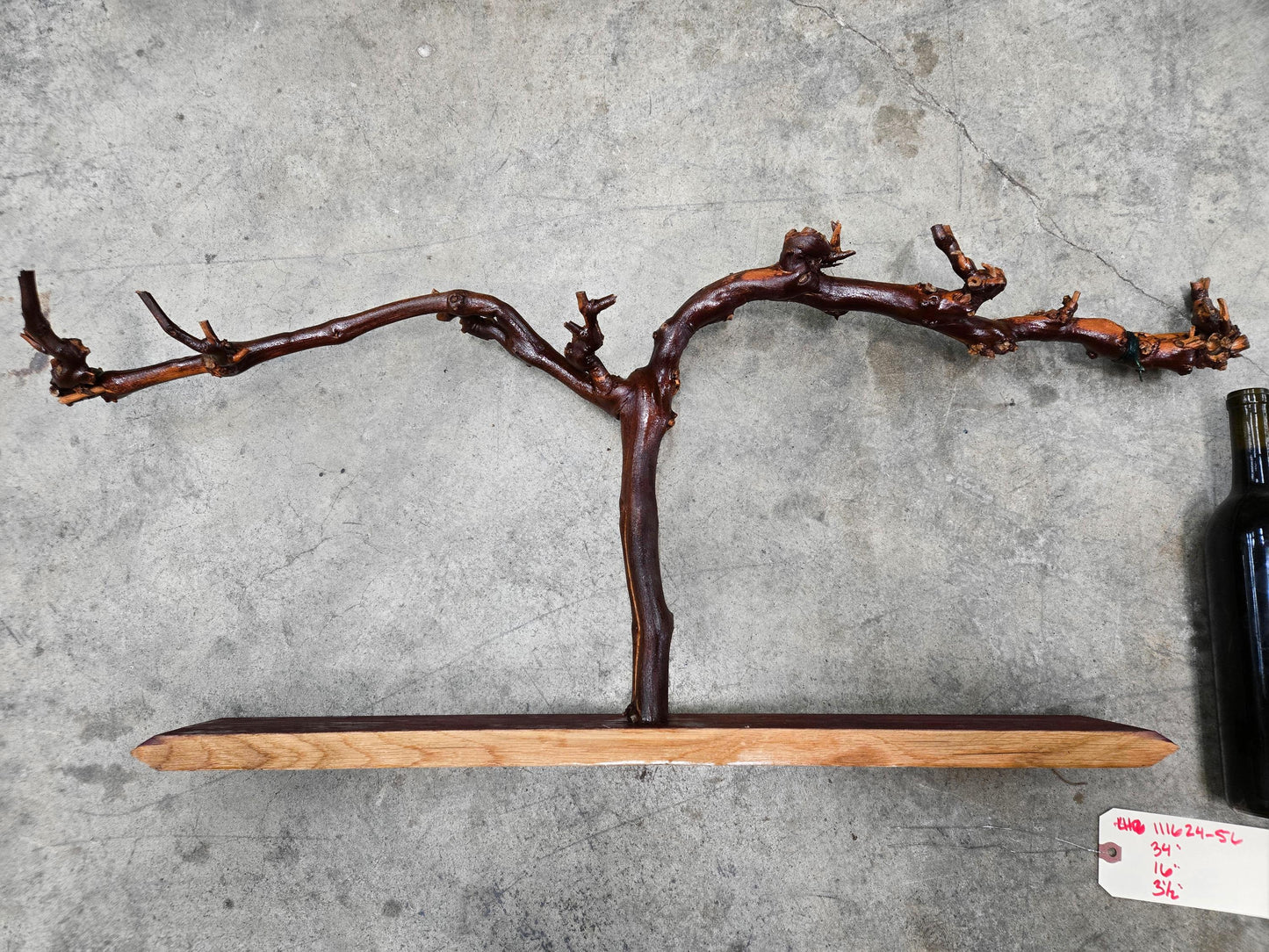 RARE Caymus Grapevine Art made from retired Sonoma Cabernet Grapevine 100% Reclaimed + Ready to Ship! 111624-56