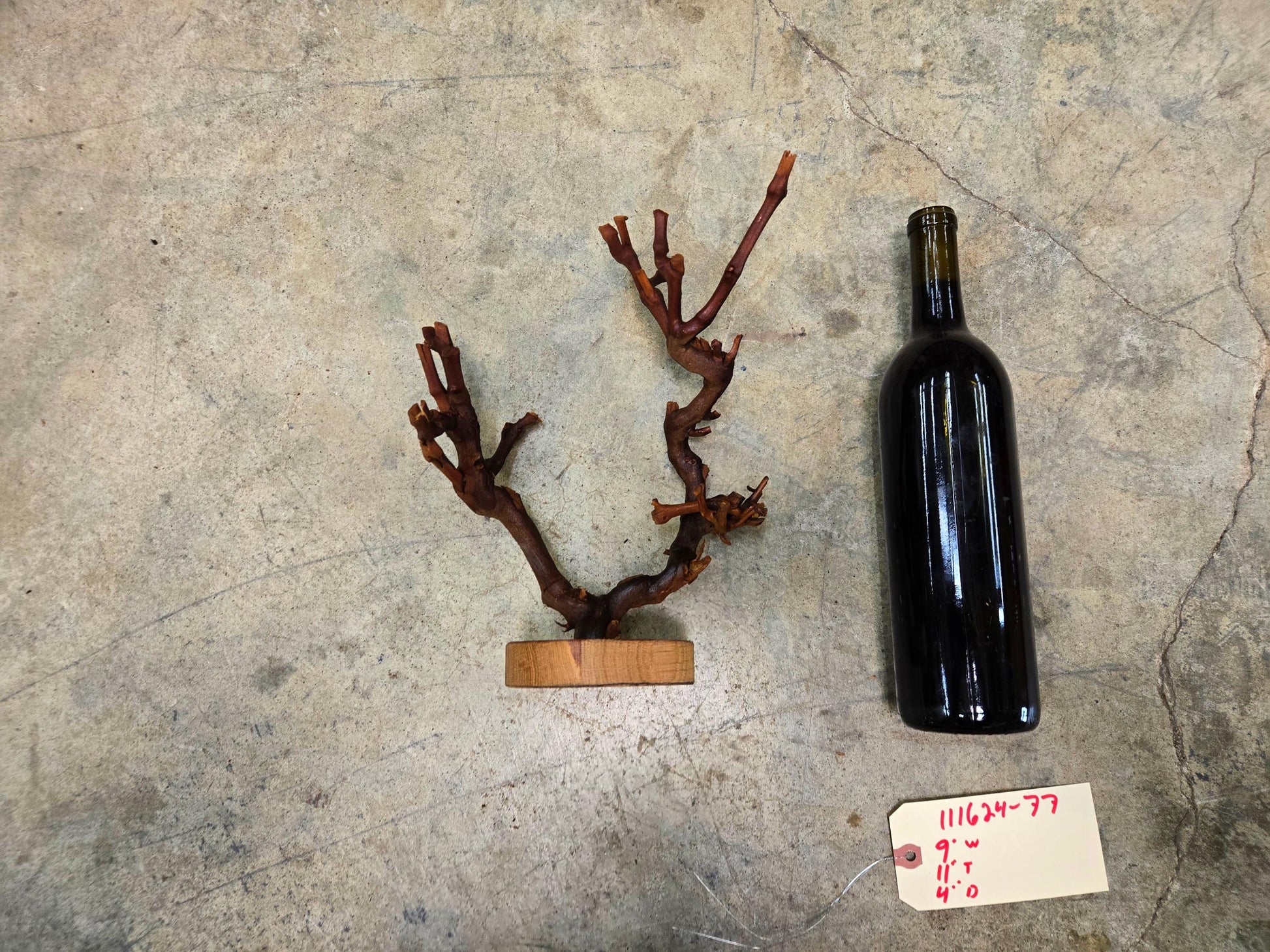 RARE Grape Vine Art From Opus 1 made from retired Napa Cabernet grapevine 100% Reclaimed + Ready to Ship! 111624-77