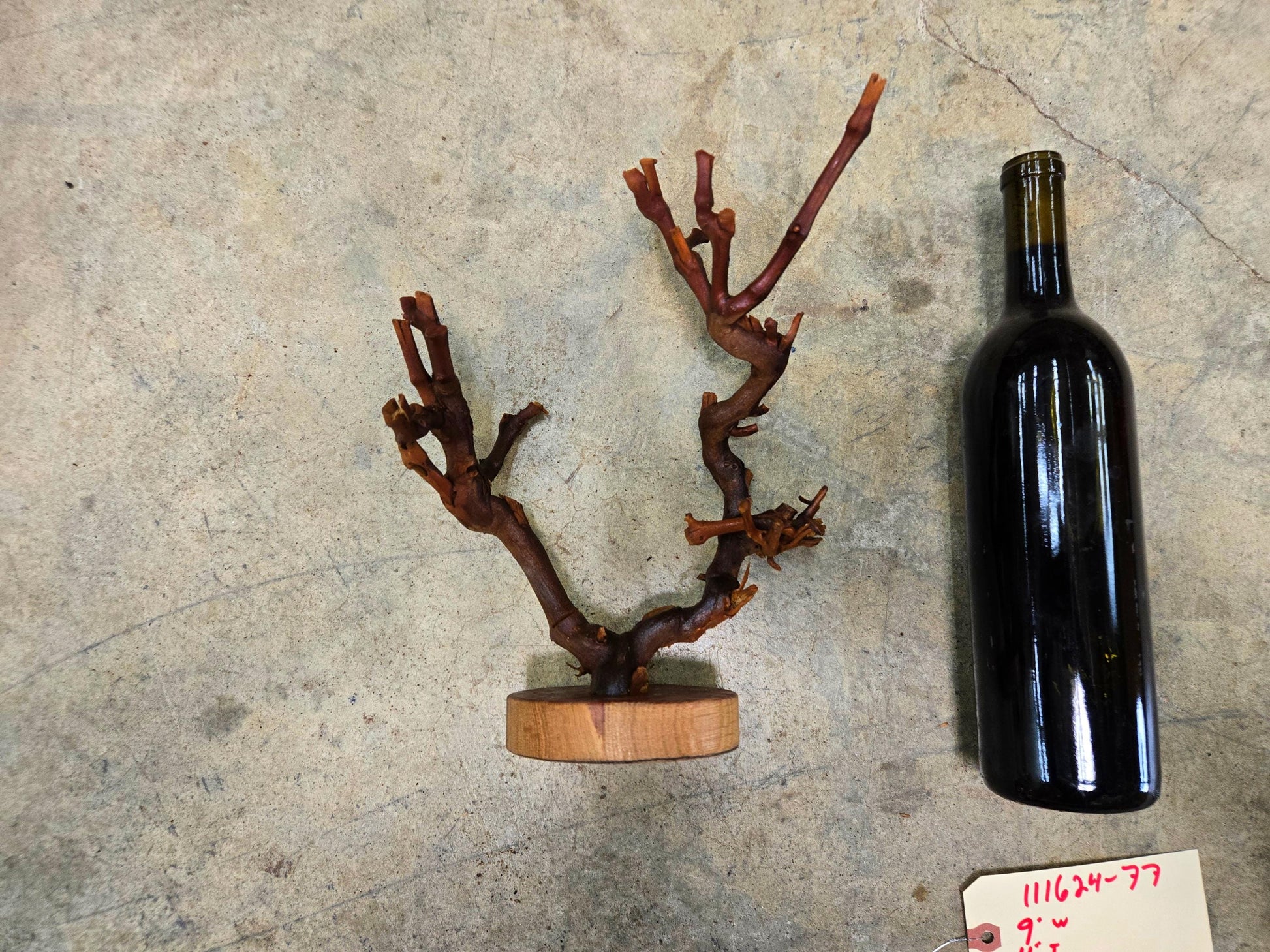 RARE Grape Vine Art From Opus 1 made from retired Napa Cabernet grapevine 100% Reclaimed + Ready to Ship! 111624-77