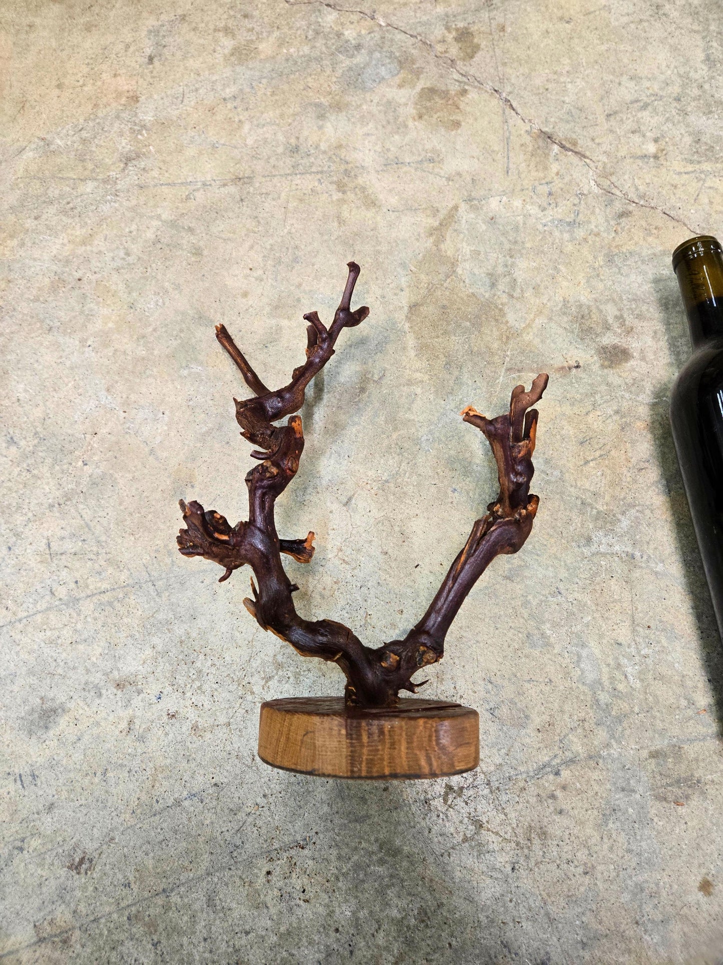 RARE Grape Vine Art From Opus 1 made from retired Napa Cabernet grapevine 100% Reclaimed + Ready to Ship! 111624-77