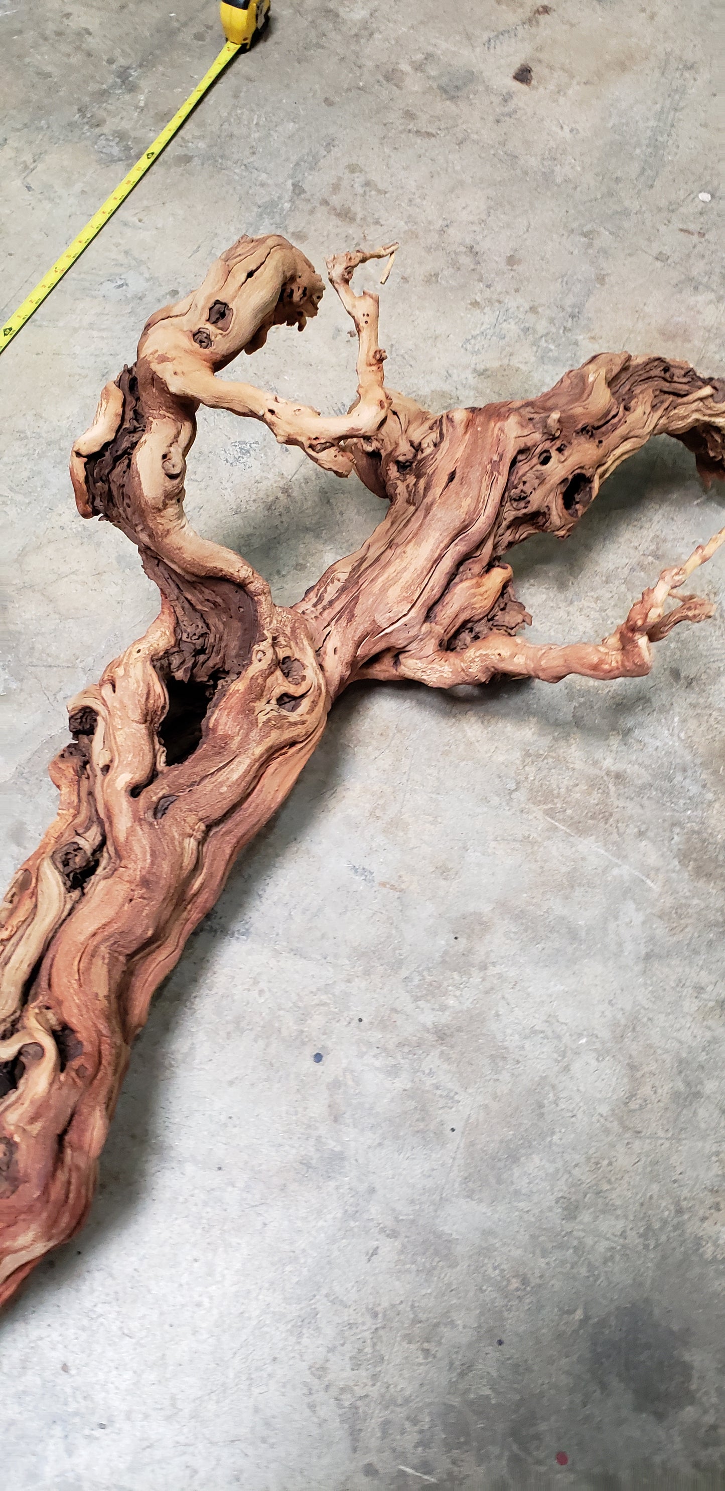Grape Vine Art From Silver Oak 0667 Retired Napa Zinfandel Grapevine Wood. 100% Recycled!