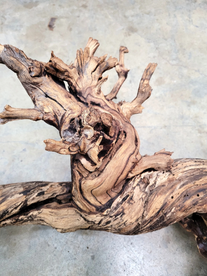 Grape Vine Art from Schramsberg Wines retired Blanc de Noirs grapevine 100% Reclaimed + Ready to Ship! 100121-75