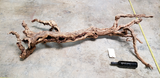 Stags Leap Zinfandel Grape Vine Art from Napa - 100% Recycled +Ready to Ship! 0660