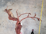 Grape Vine Art From Daou Winery 0664 made from retired Petit Verdot grapevine 100% Recycled + Ready to Ship!