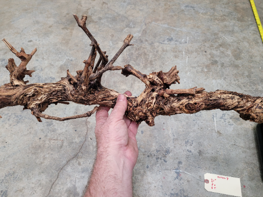 Foxen Canyon Winery Grapevine Art made from retired Cabernet grapevine 100% Reclaimed! 121121-7