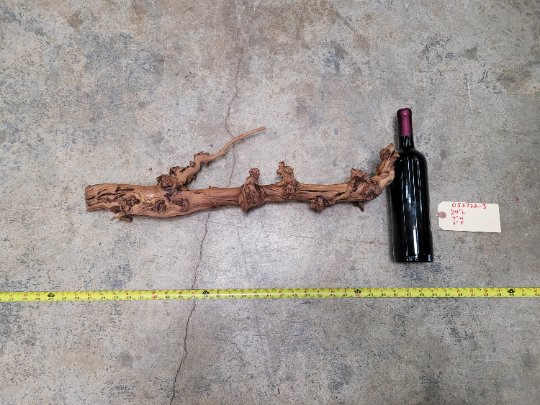 Denner Winery Grapevine Art made from retired Syrah grapevine 100% Reclaimed! 052722-3