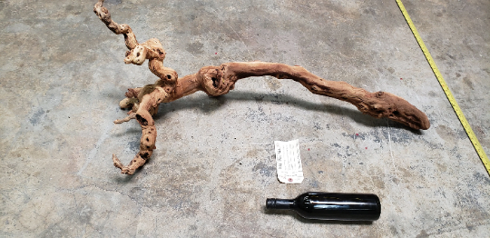 Stags Leap Zinfandel Grape Vine Art From Napa- 100% Recycled + Ready to Ship!! 0663