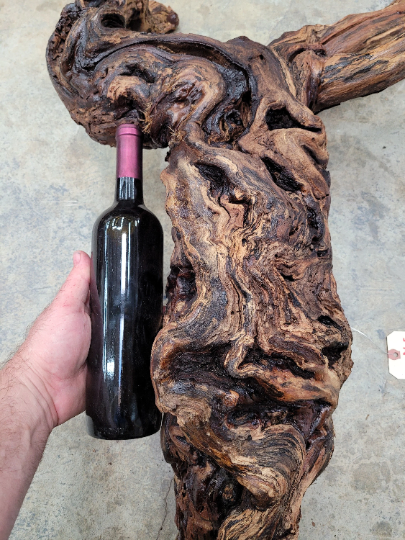 RARE Huge Grape Vine Art from retired Charles Krug Winery Cabernet grapevine 100% Reclaimed + Ready to Ship! 100121-71