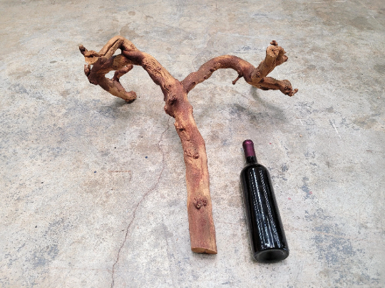Grape Vine Art From J Lohr Winery - retired Petit Syrah grapevine 100% Recycled + Ready to Ship! 100121-18