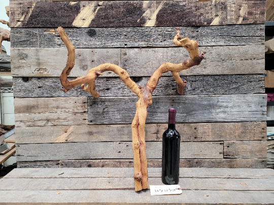Grape Vine Art From J Lohr Winery - retired Petit Syrah grapevine 100% Recycled + Ready to Ship! 100121-18