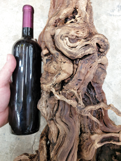 121 Year Old Grape Vine Art From Silver Oak Vineyards - Retired Napa Zinfandel 100% Recycled + Ready to Ship! 052722-2