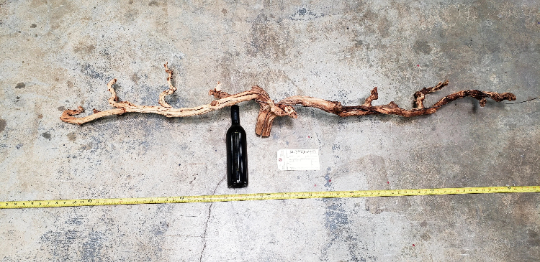 Domaine Carnerous Pinot Noir Grape Vine Art From Napa 100% Recycled + Ready to Ship! 0645