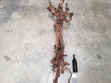 121 Year Old Grape Vine Art From Silver Oak Vineyards - Retired Napa Zinfandel 100% Recycled + Ready to Ship! 052722-2