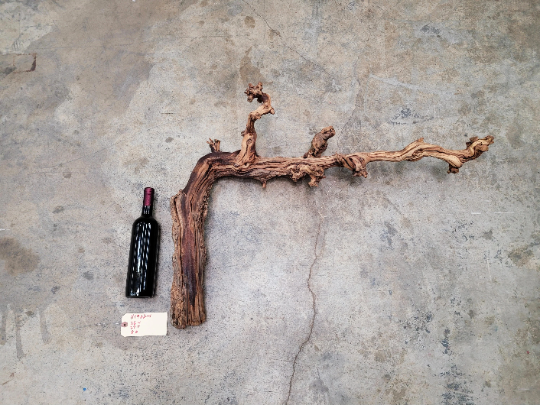 Grape Vine Art from Schramsberg Wines retired Blanc de Noirs grapevine 100% Reclaimed + Ready to Ship! 111922-1