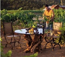 SALE Grapevine Dining Table - Made from retired California wine vines. 100% Natural & Recycled!