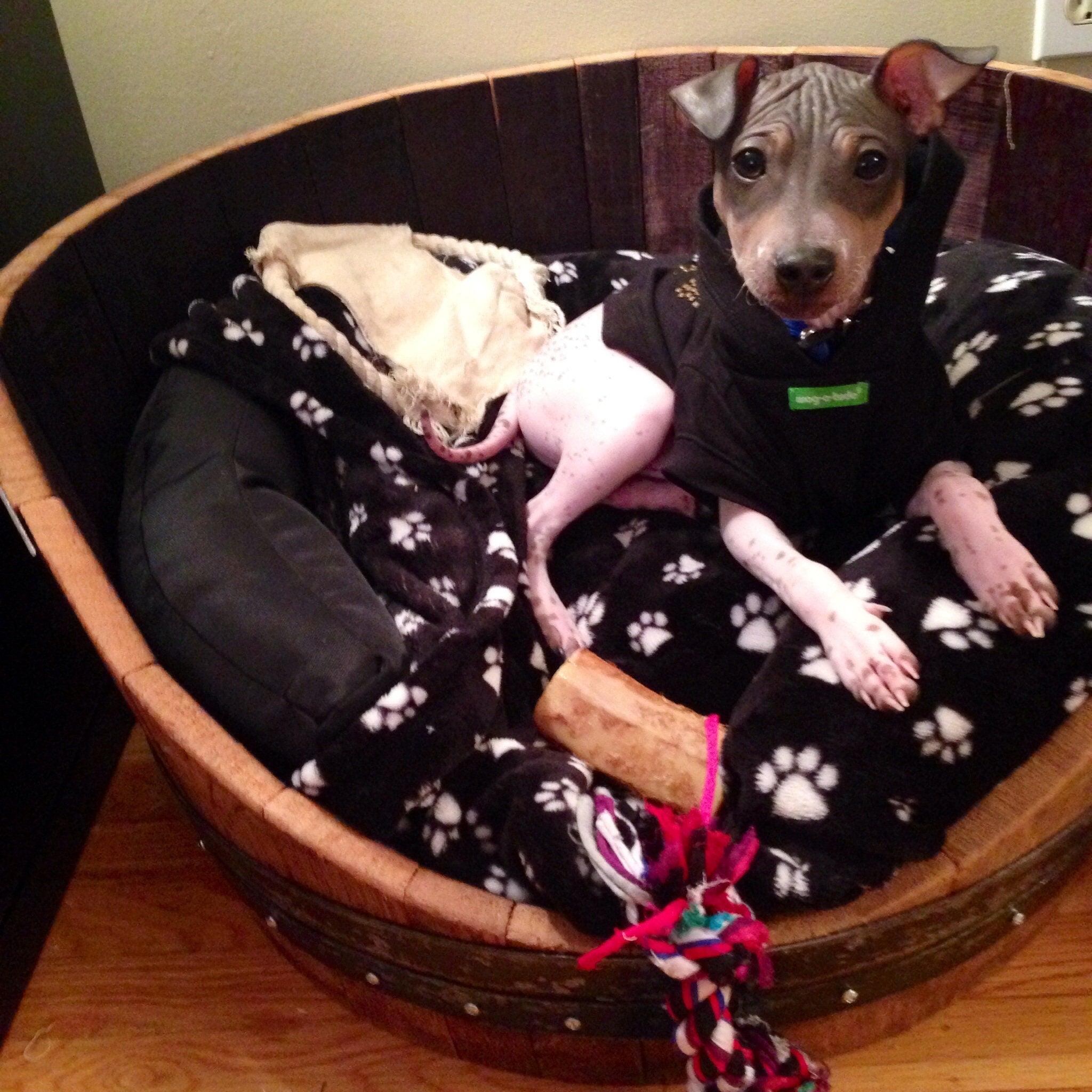 Pupasan dog bed outlet