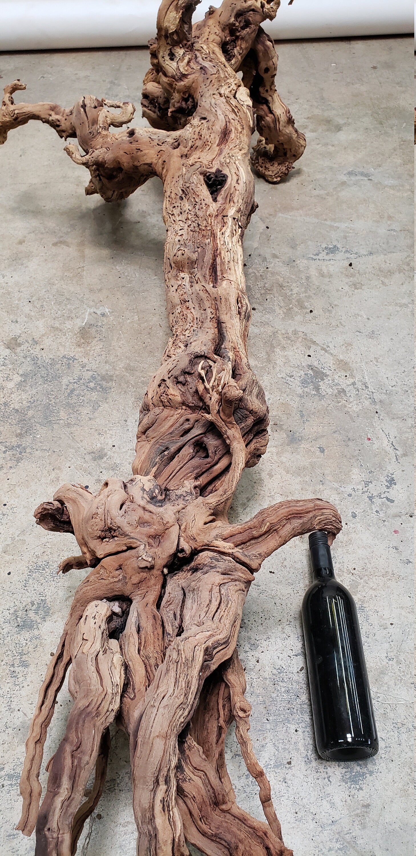 121 Year Old Grape Vine Art From Silver Oak Vineyards 0685 retired Napa Zinfandel 100% Recycled!
