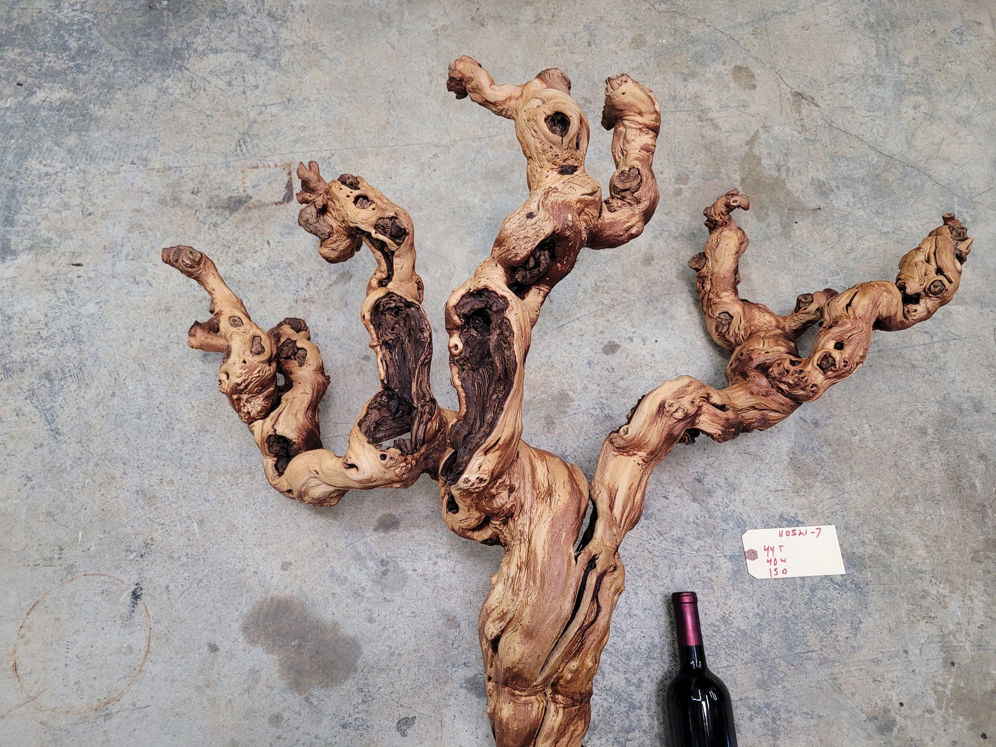 Grape Vine Zinfandel Art From Turley Winery 100% Reclaimed + Ready to Ship!! 110521-7