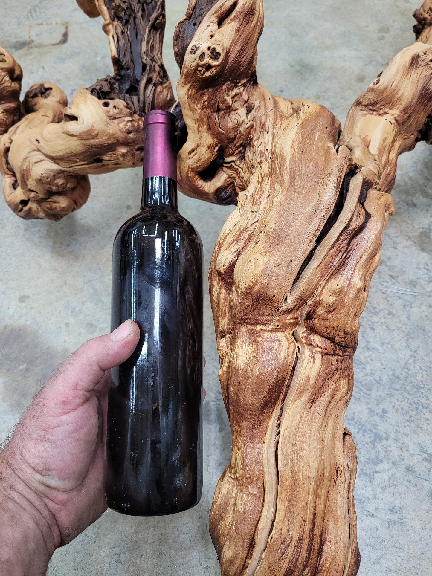 Grape Vine Zinfandel Art From Turley Winery 100% Reclaimed + Ready to Ship!! 110521-7