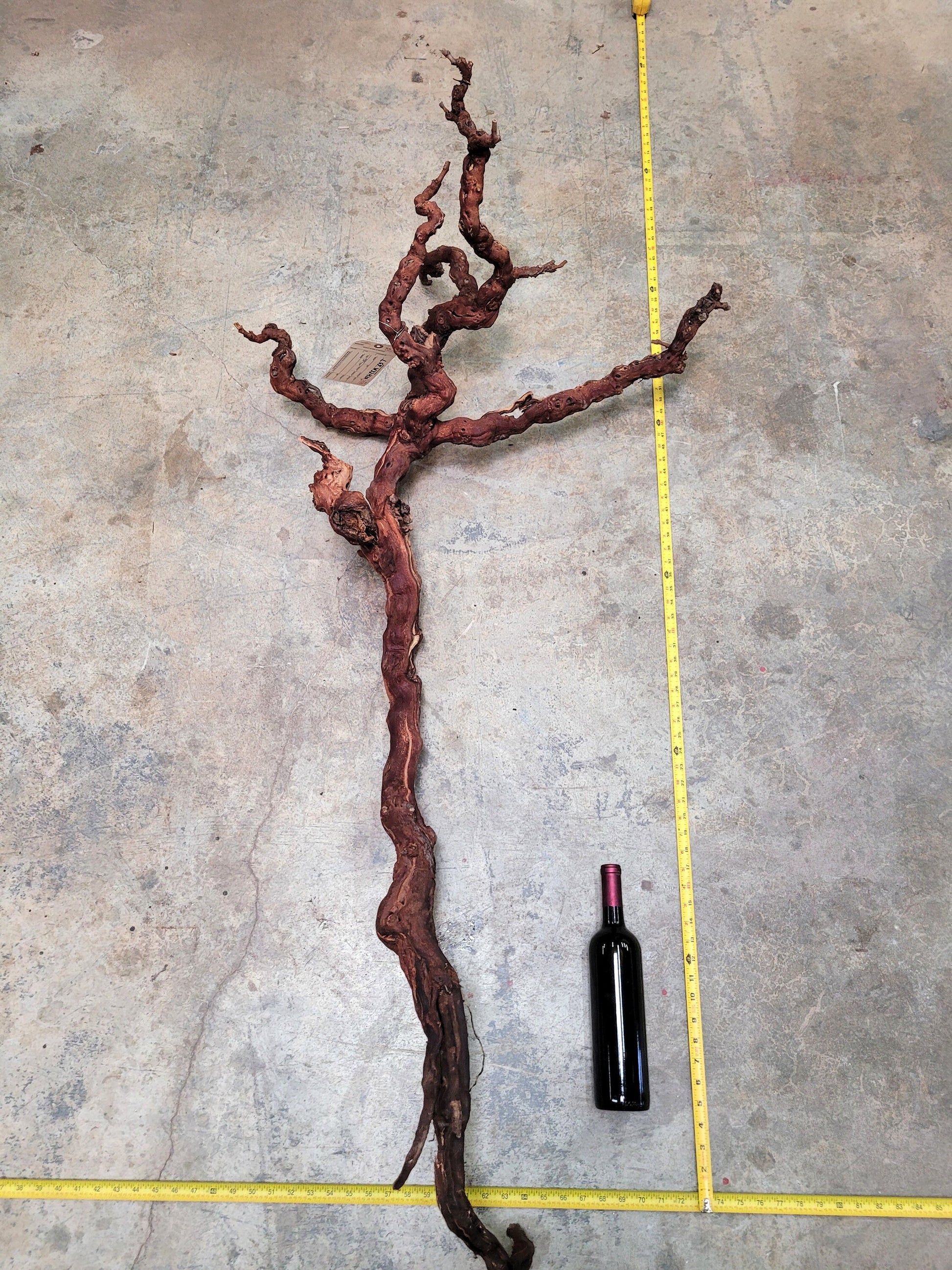 Grape Vine Art From Daou Winery 0626 made from retired Petit Verdot grapevine 100% Recycled + Ready to Ship!