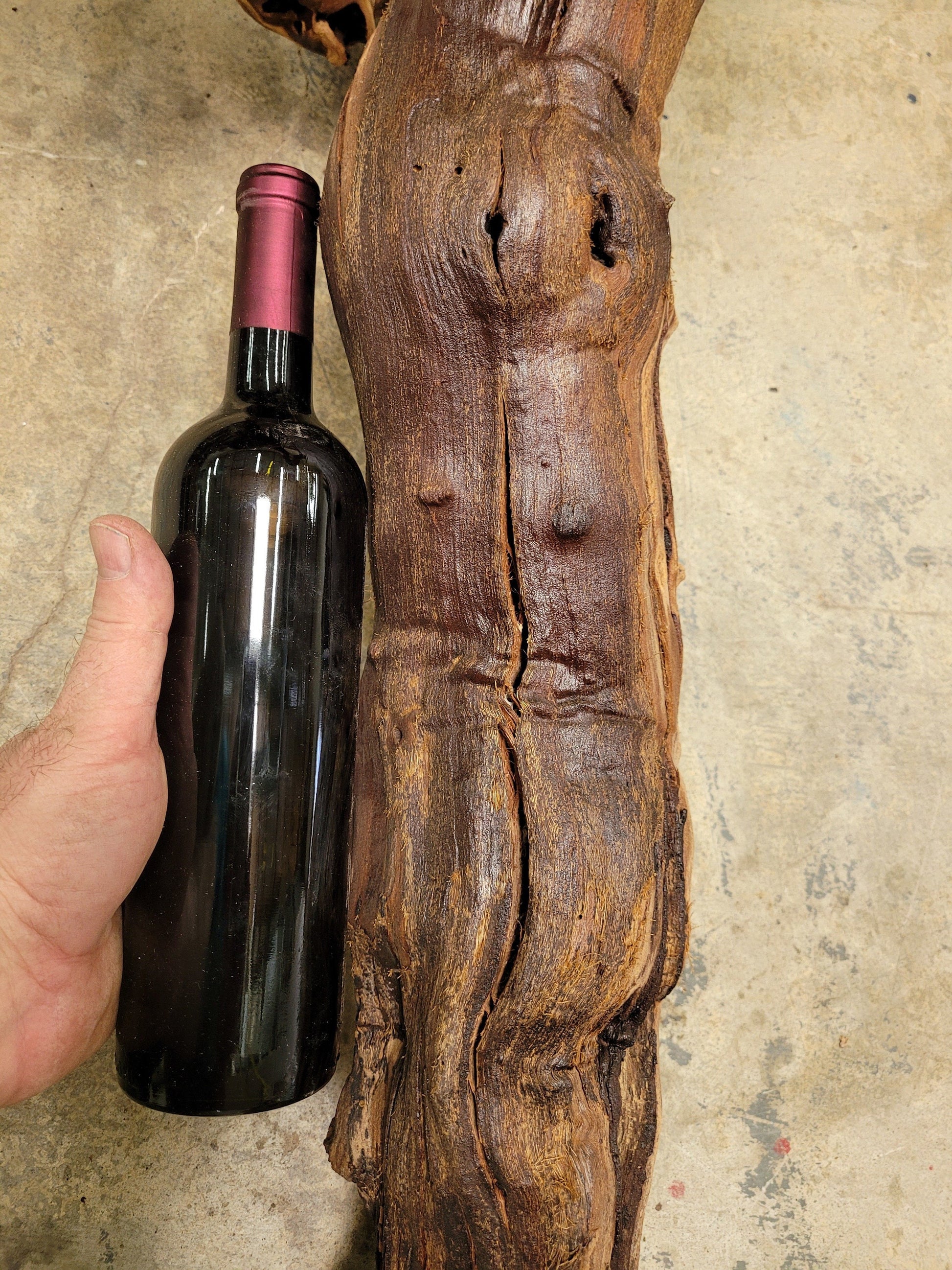 Grape Vine Art From Silver Oak 0675 made from retired Napa Zinfandel grapevine 100% Recycled + Ready to Ship!