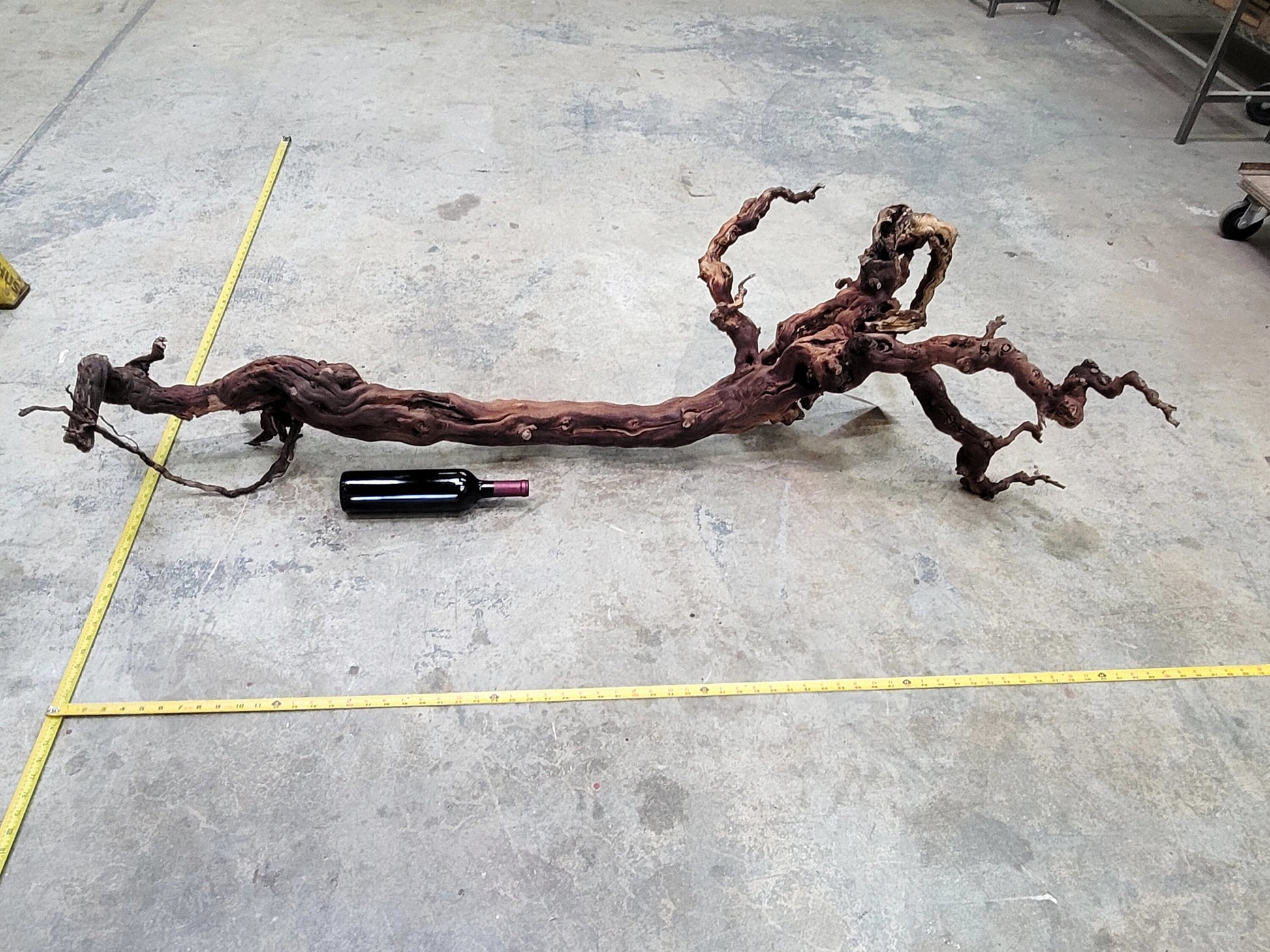 Grape Vine Art From Silver Oak Vineyards 0641 retired Napa Zinfandel 100% Recycled + Ready to Ship!