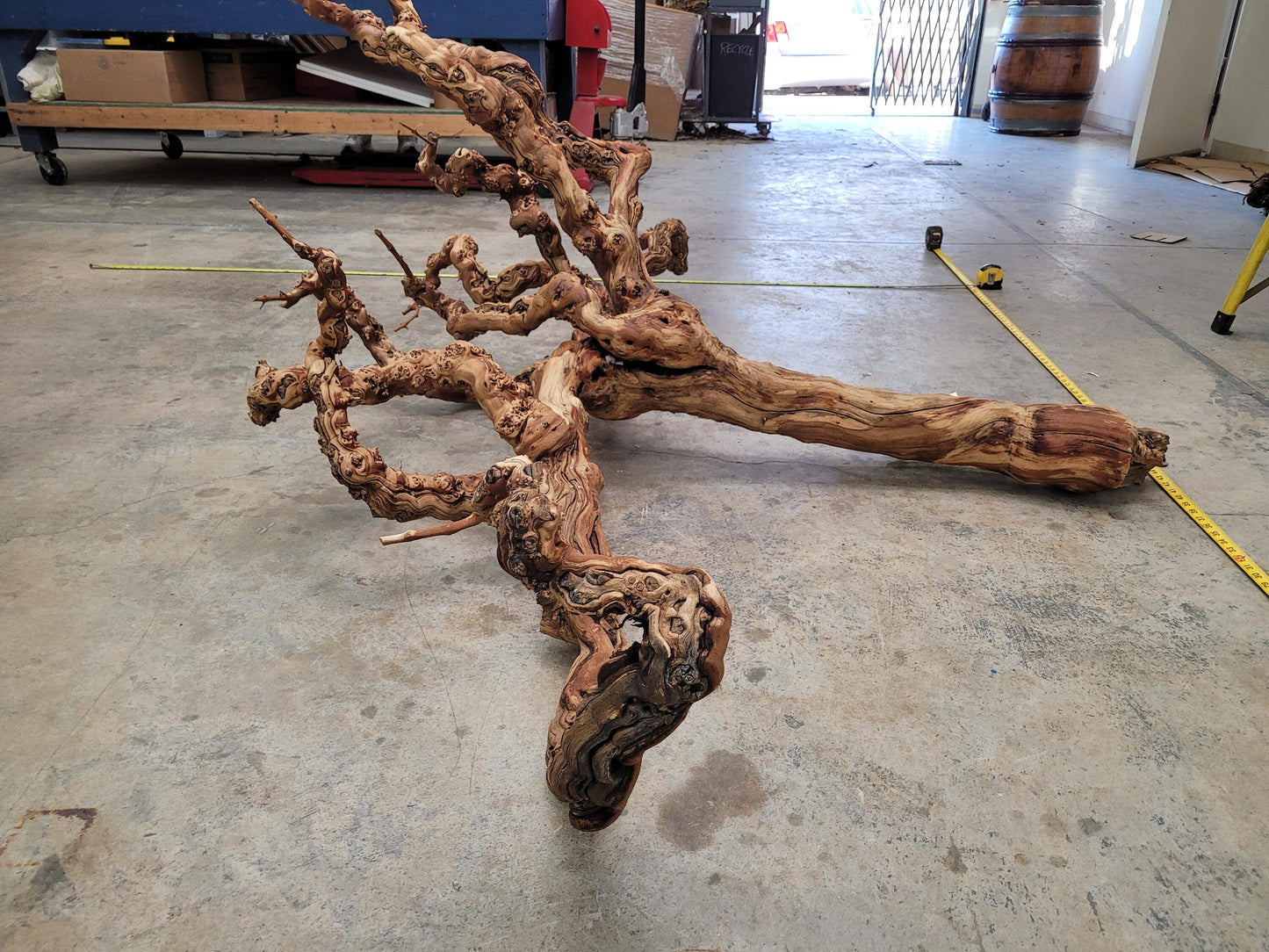 RARE Huge Grape Vine Art from retired Napa Cabernet grapevine 100% Reclaimed + ready to ship! 030822-2