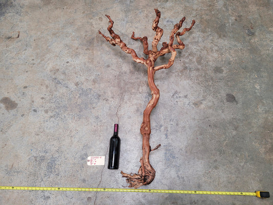 Old Vine Zinfandel Grapevine Art From Turley Winery 100% Reclaimed + Ready to Ship!! 030822-6