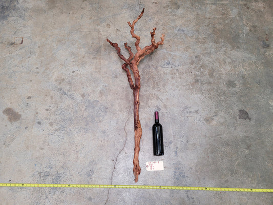 Old Vine Zinfandel Grapevine Art From Turley Winery 100% Reclaimed + Ready to Ship!! 052722-8