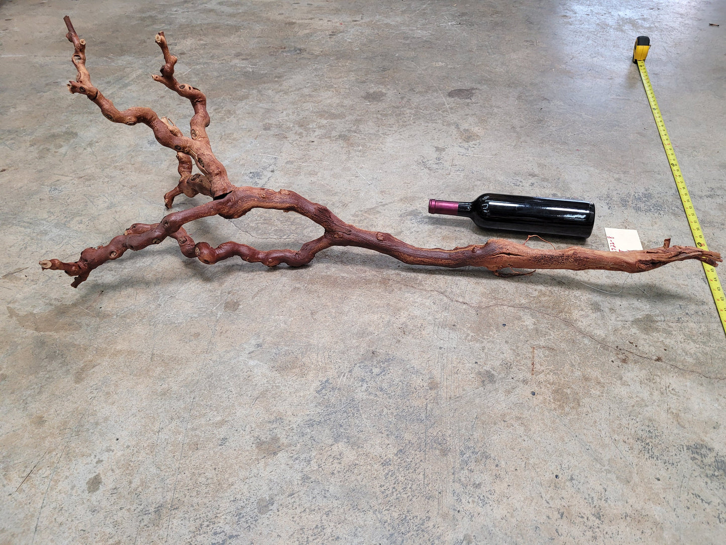 Old Vine Zinfandel Grapevine Art From Turley Winery 100% Reclaimed + Ready to Ship!! 052722-8