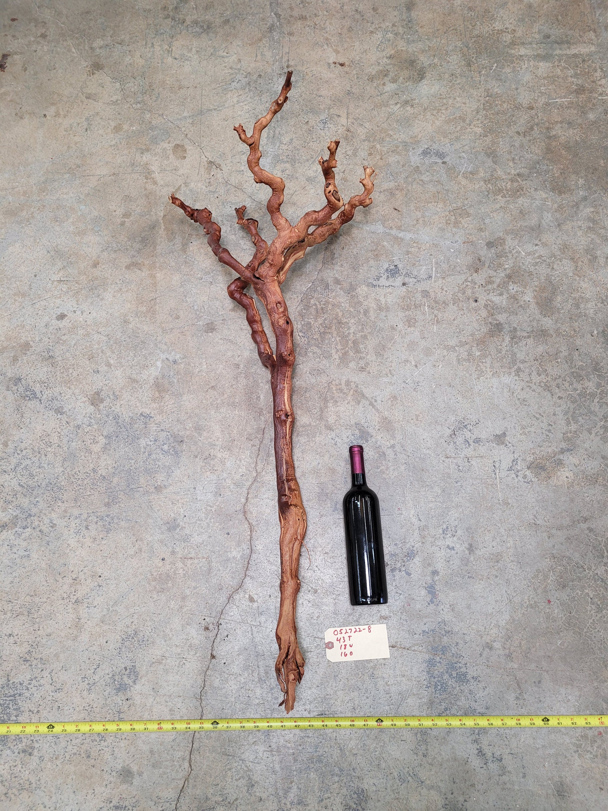 Old Vine Zinfandel Grapevine Art From Turley Winery 100% Reclaimed + Ready to Ship!! 052722-8