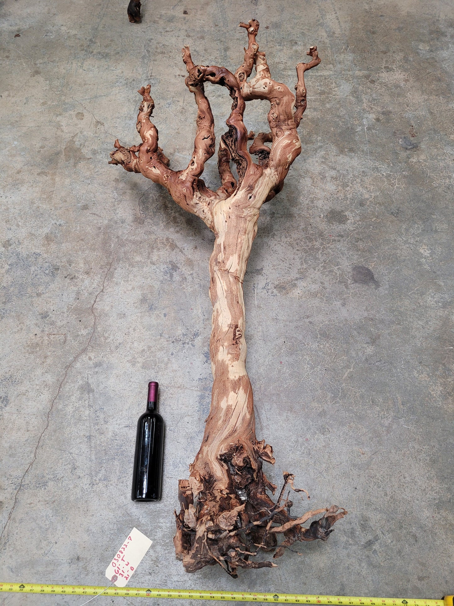 Zinfandel Old Grapevine Art From Turley Winery 100% Reclaimed + Ready to Ship!! 030822-7