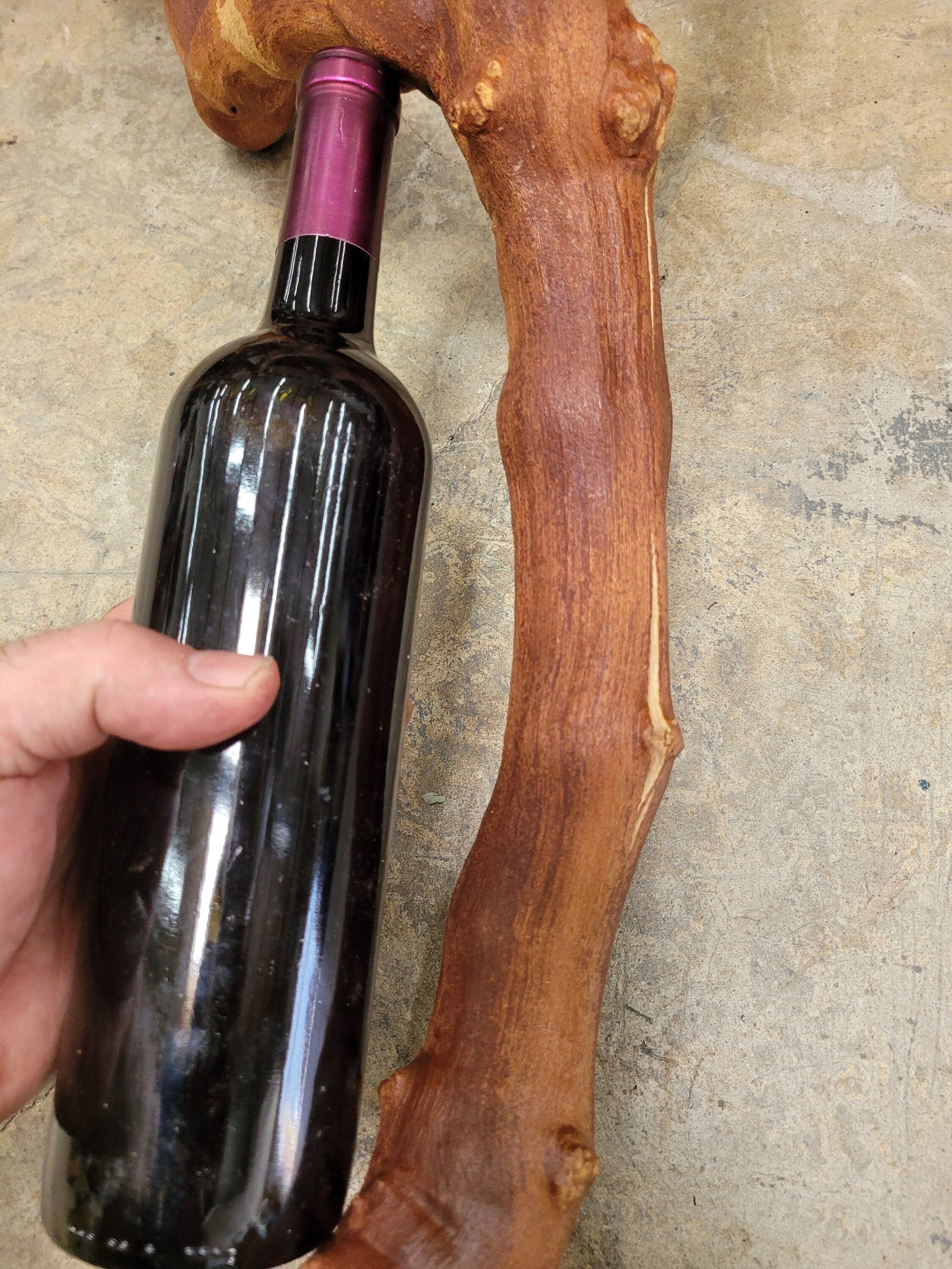 Old Vine Zinfandel Grapevine Art From Turley Winery 100% Reclaimed + Ready to Ship!! 052722-10