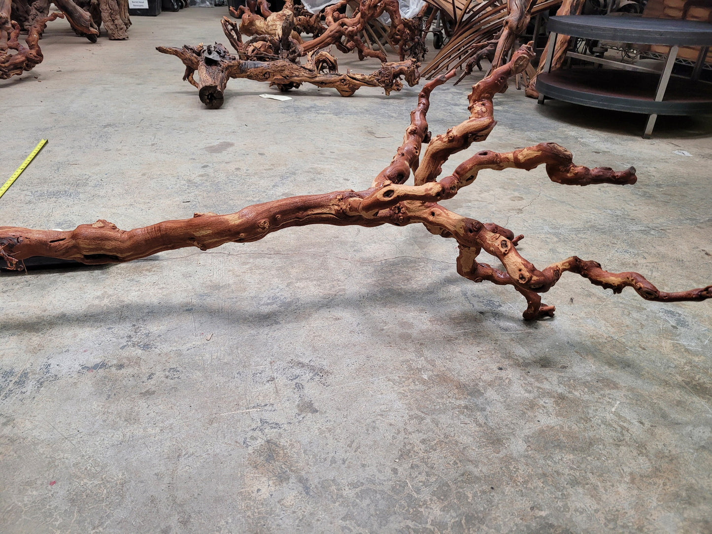 Old Vine Zinfandel Grapevine Art From Turley Winery 100% Reclaimed + Ready to Ship!! 030822-6