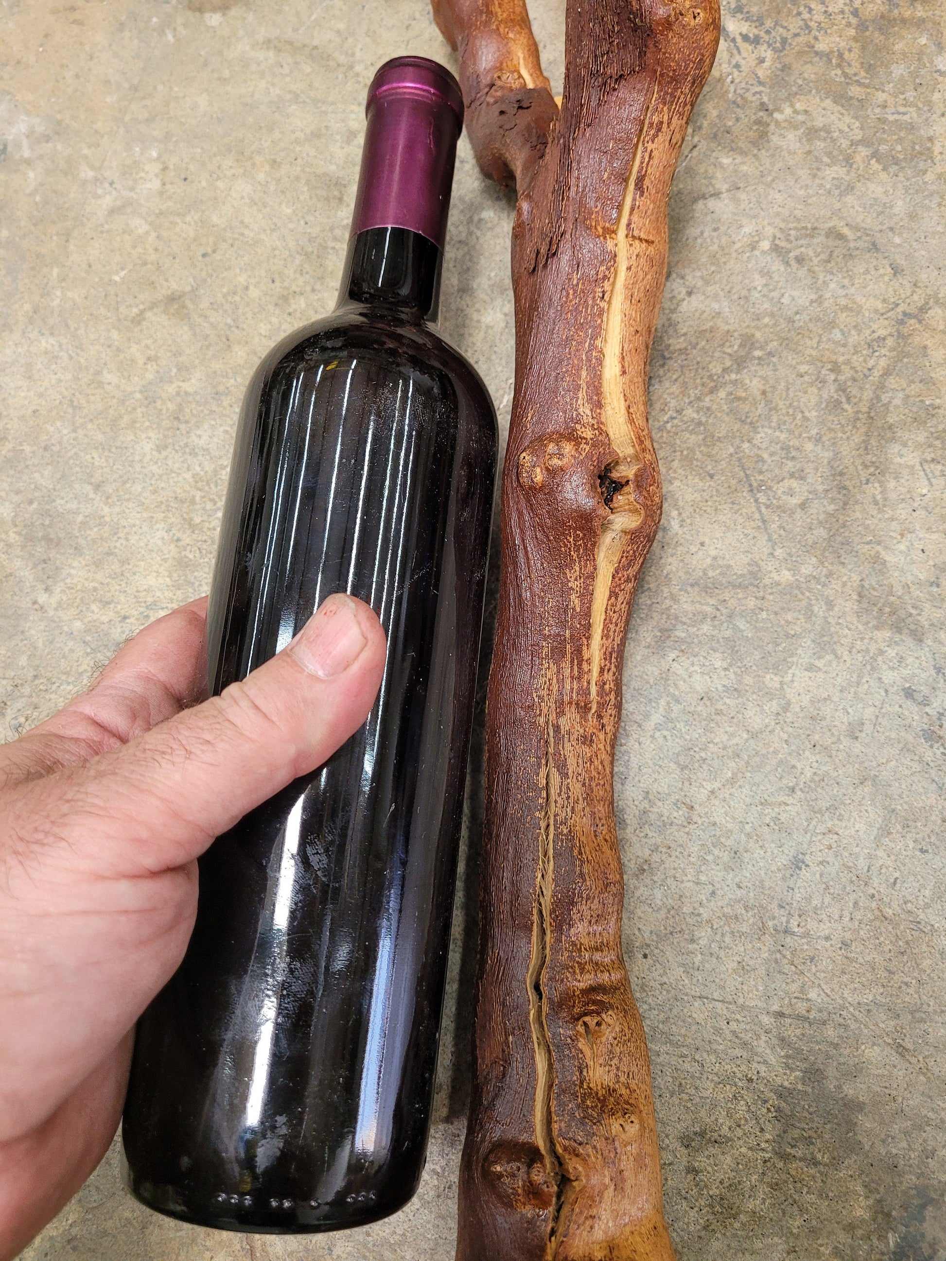 Old Vine Zinfandel Grapevine Art From Turley Winery 100% Reclaimed + Ready to Ship!! 052722-8