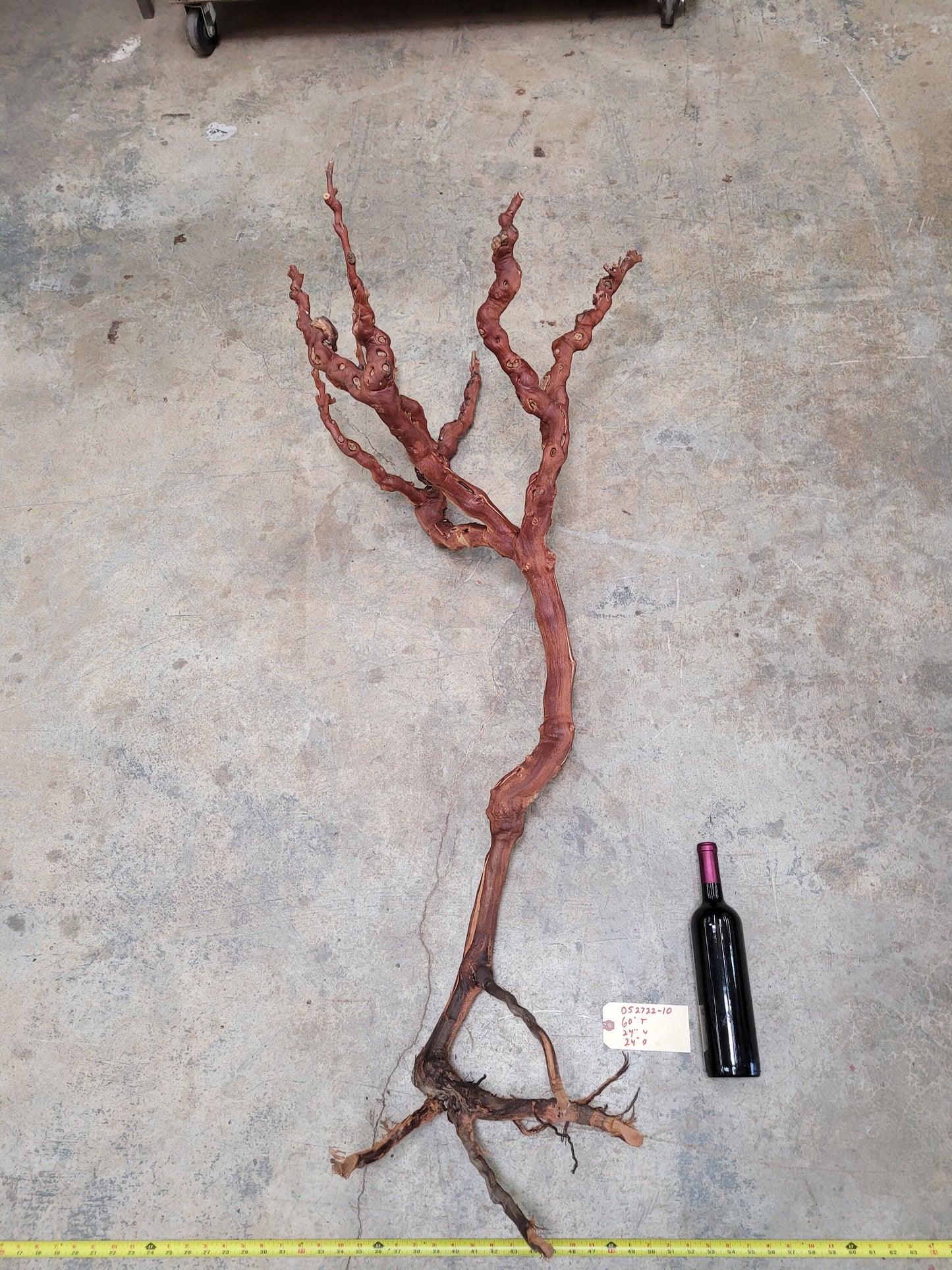 Old Vine Zinfandel Grapevine Art From Turley Winery 100% Reclaimed + Ready to Ship!! 052722-10