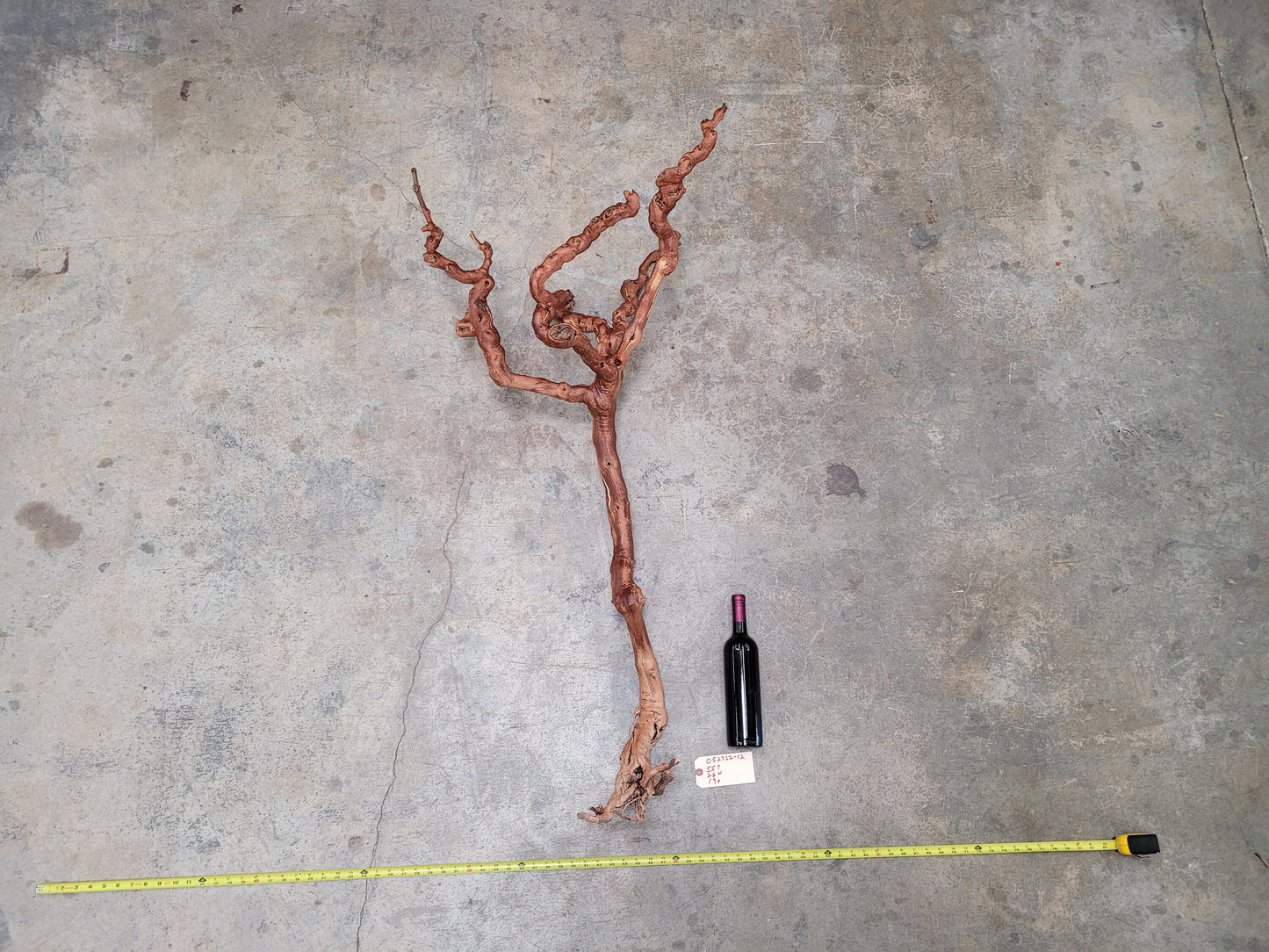 Old Vine Zinfandel Grapevine Art From Turley Winery 100% Reclaimed + Ready to Ship!! 052722-12