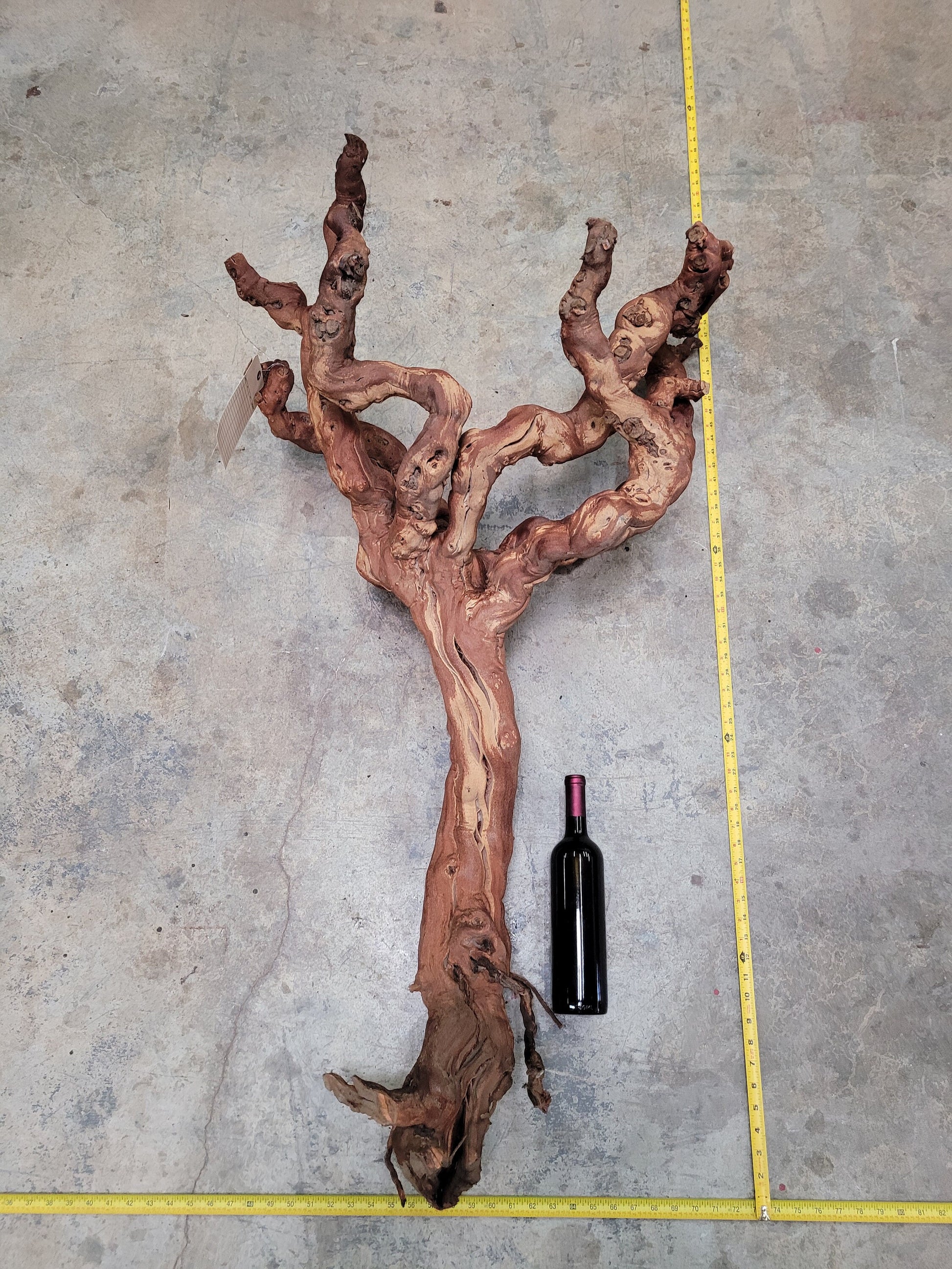 RARE Caymus Vineyards Old Vine Zinfandel Grapevine Art 100% Reclaimed + Ready to Ship!! 0624