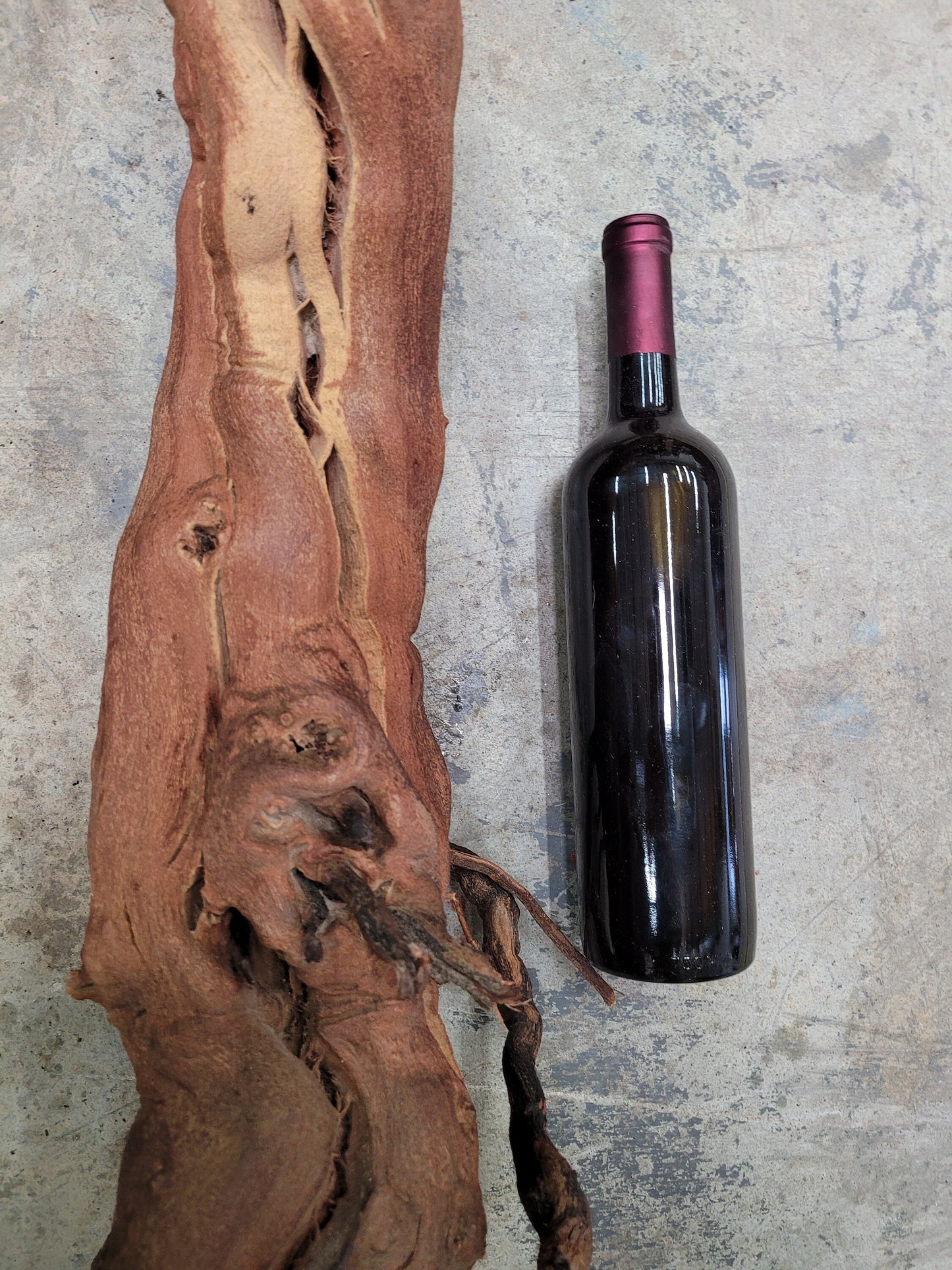 RARE Caymus Vineyards Old Vine Zinfandel Grapevine Art 100% Reclaimed + Ready to Ship!! 0624