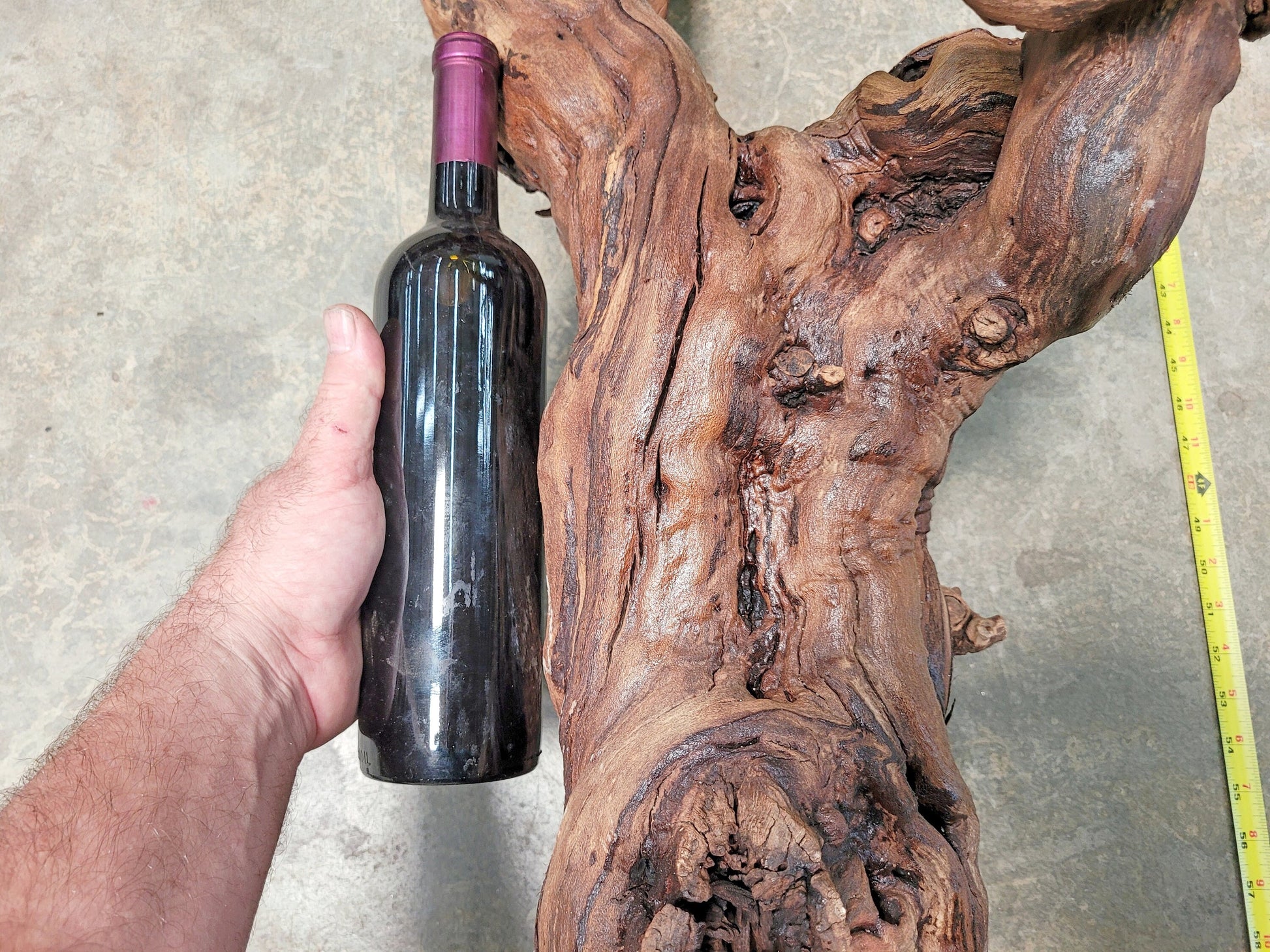 Silver Oak Vineyard Zinfandel Grape Vine Art From Napa 100% Recycled + Ready to Ship! 052722-39