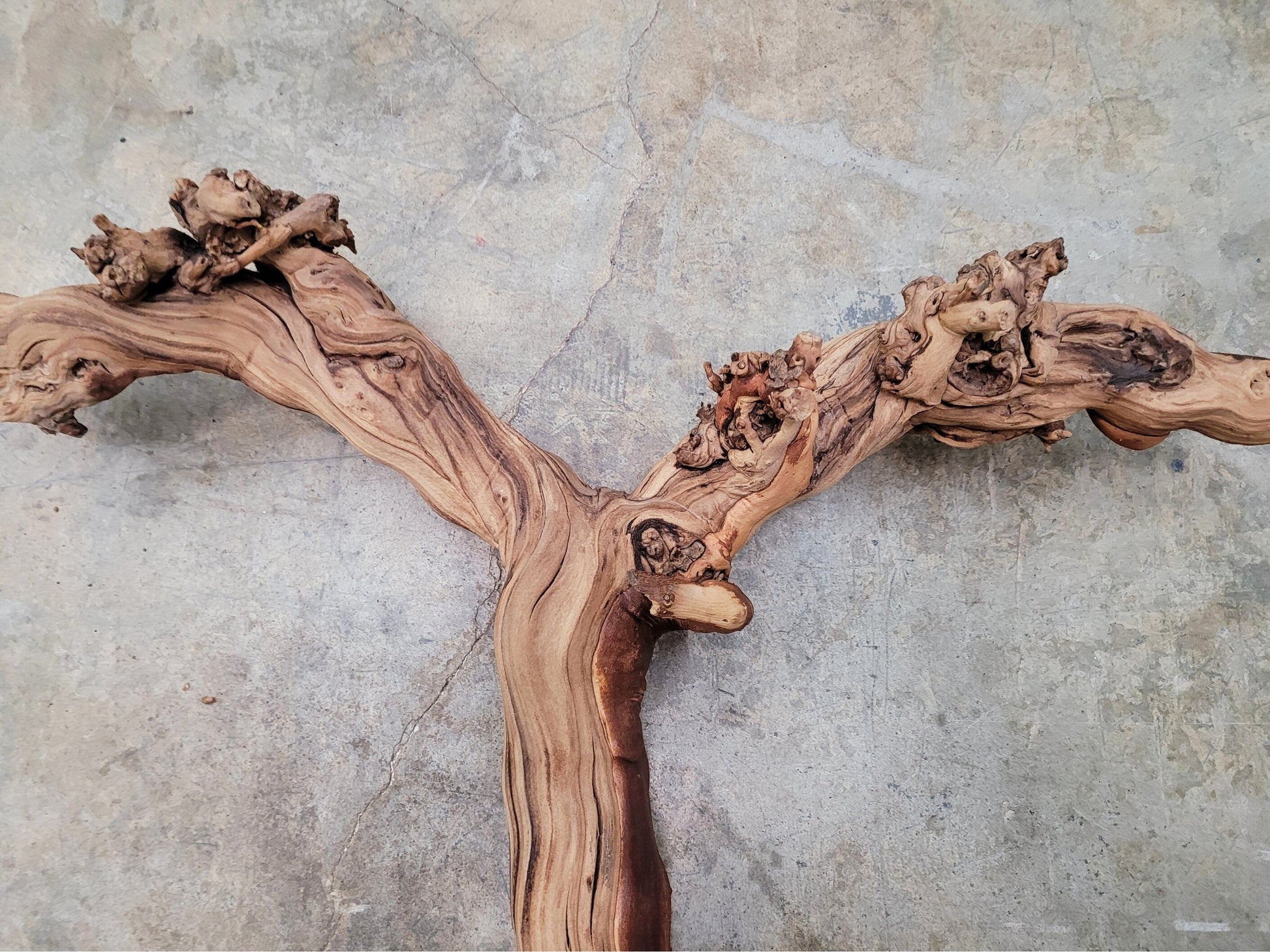 Rare Rodney Strong Art made from Retired Cabernet Grapevine 100% Reclaimed + ready to ship! 111922-2