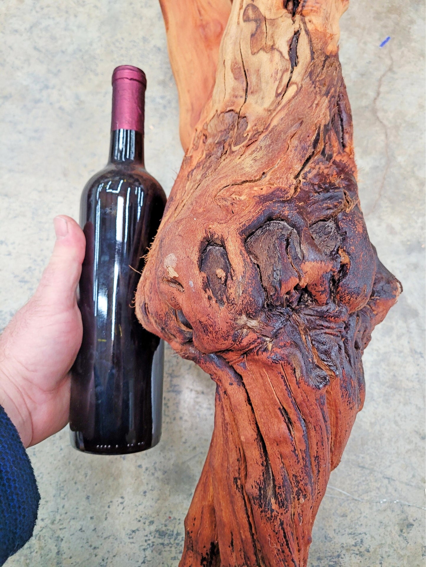 RARE "The Twins" Huge Grape Vine Art from retired Napa Cabernet grapevine 100% Reclaimed + ready to ship! 112922-1