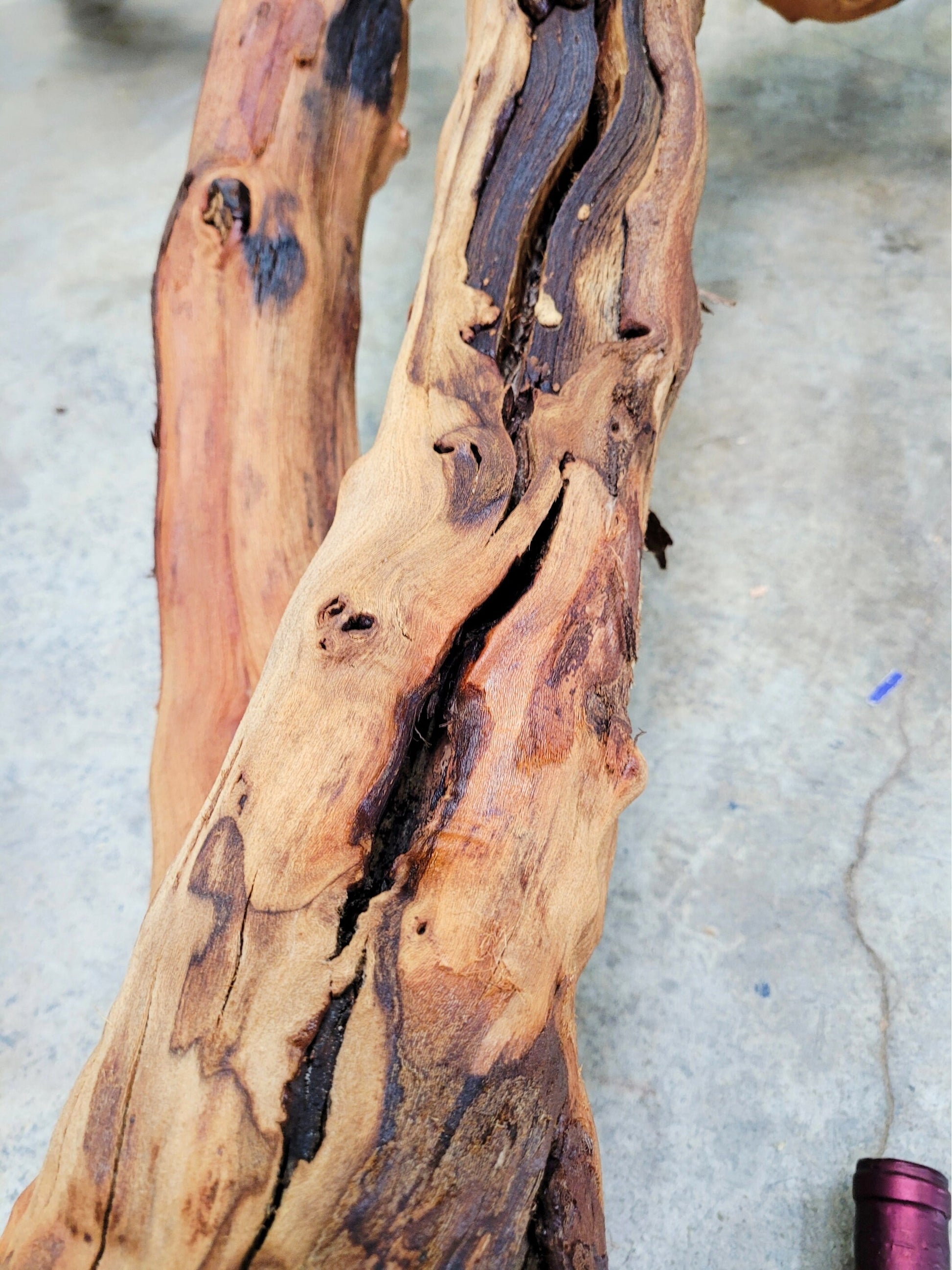 RARE "The Twins" Huge Grape Vine Art from retired Napa Cabernet grapevine 100% Reclaimed + ready to ship! 112922-1