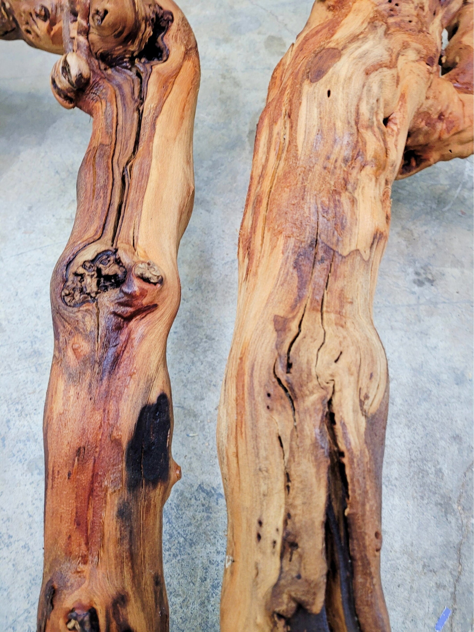 RARE "The Twins" Huge Grape Vine Art from retired Napa Cabernet grapevine 100% Reclaimed + ready to ship! 112922-1